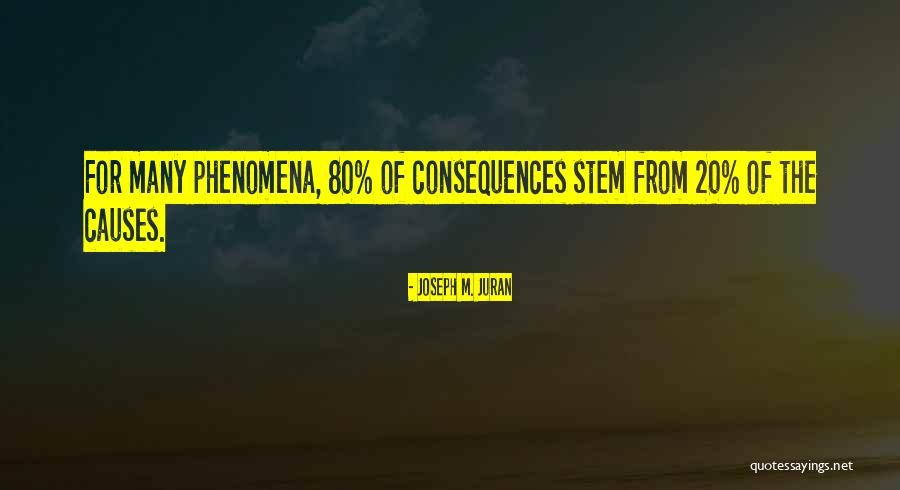 Pyramides Renales Quotes By Joseph M. Juran Pyramides Renales Quotes By Joseph M. Juran