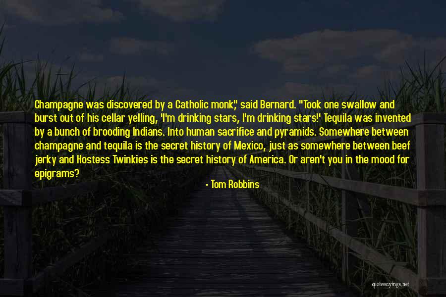 Pyramids Quotes By Tom Robbins Pyramids Quotes By Tom Robbins