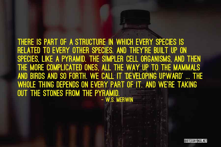 Pyramids Quotes By W.S. Merwin Pyramids Quotes By W.S. Merwin