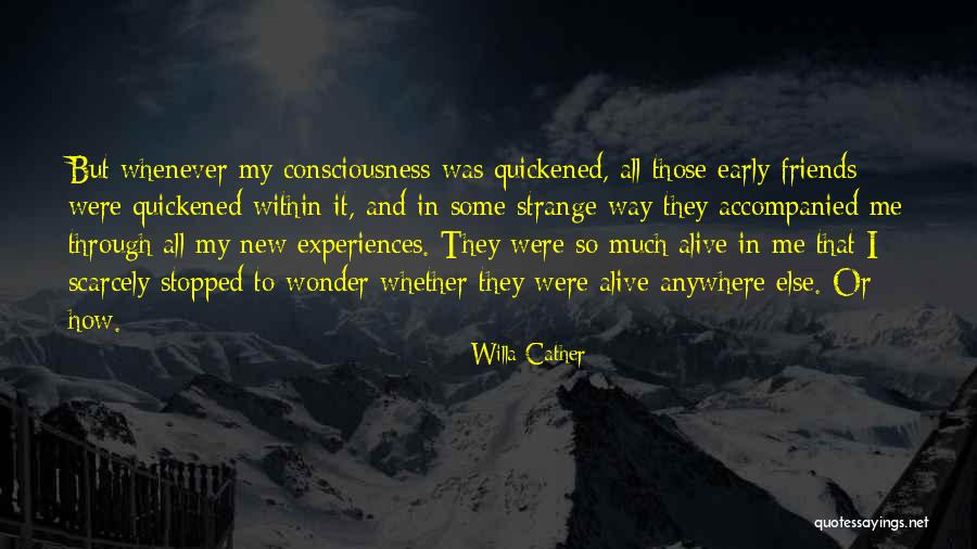 Pyrex Glass Quotes By Willa Cather Pyrex Glass Quotes By Willa Cather