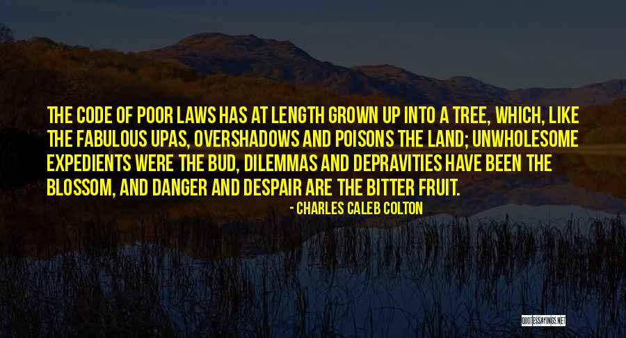 Pyrimidines And Purines Quotes By Charles Caleb Colton Pyrimidines And Purines Quotes By Charles Caleb Colton