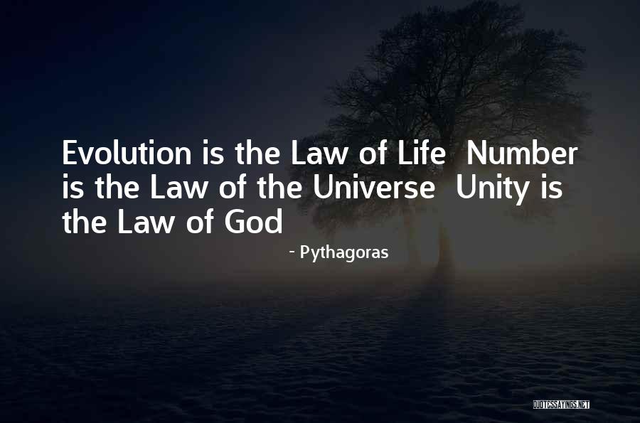 Pythagoras Numbers Quotes By Pythagoras