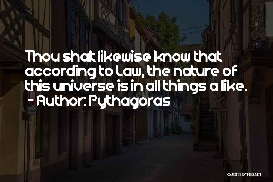 Pythagoras Quotes 1015234