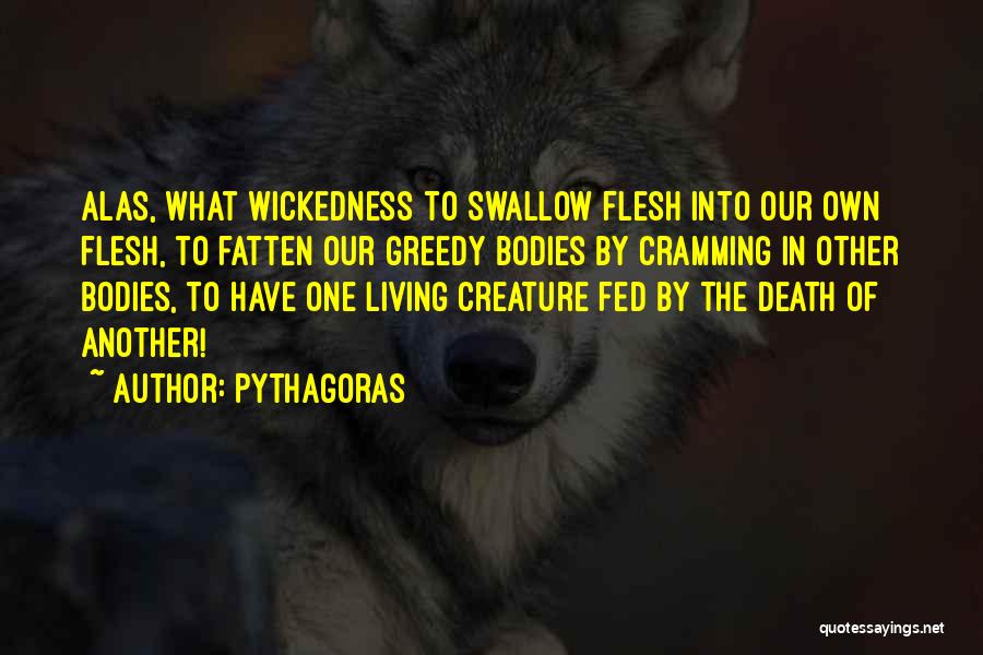 Pythagoras Quotes 1015295