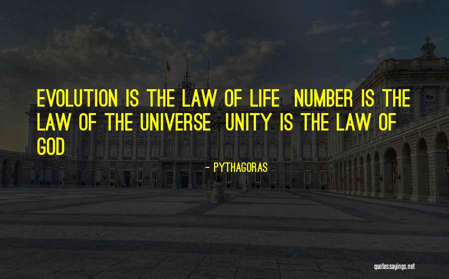 Pythagoras Quotes 1703127 Pythagoras Quotes 1703127