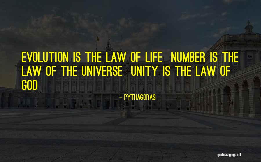 Pythagoras Quotes 1703127