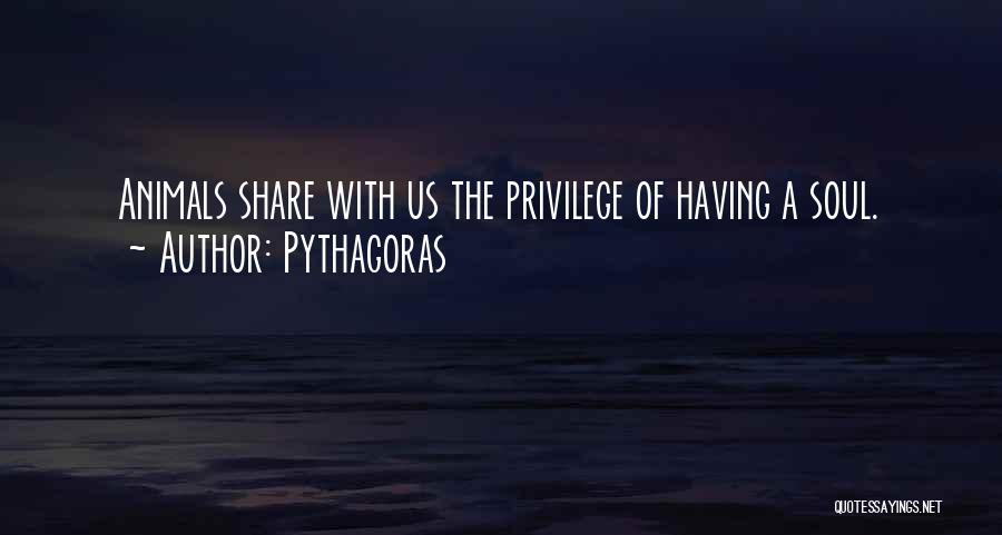 Pythagoras Quotes 1747698