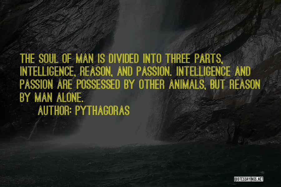 Pythagoras Quotes 1816961