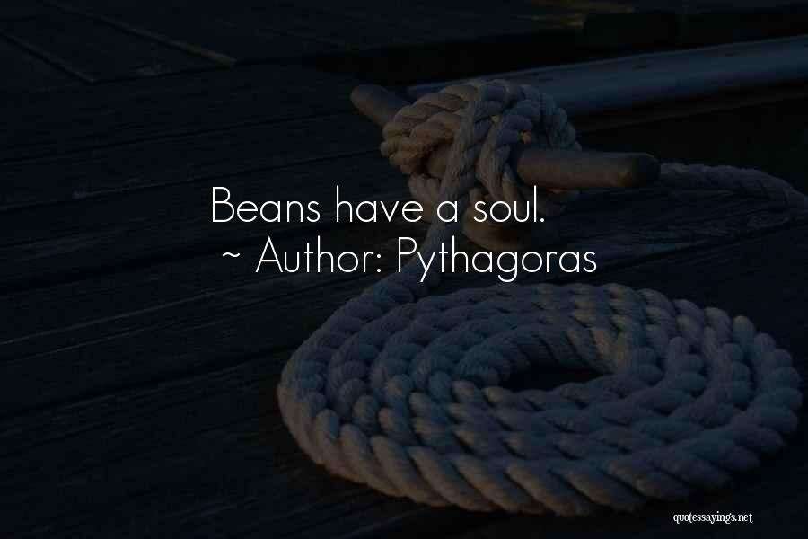 Pythagoras Quotes 1893348