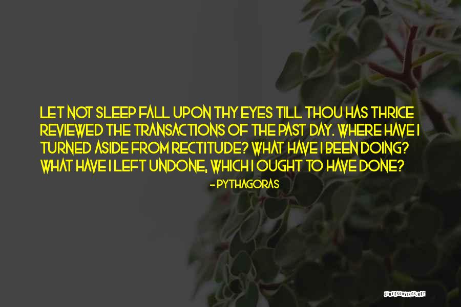 Pythagoras Quotes 2011003