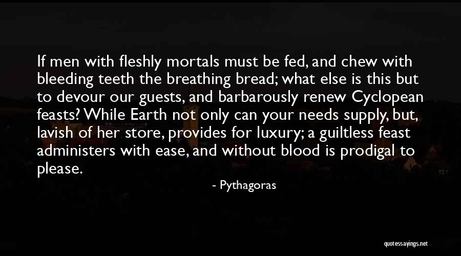 Pythagoras Quotes 2107948