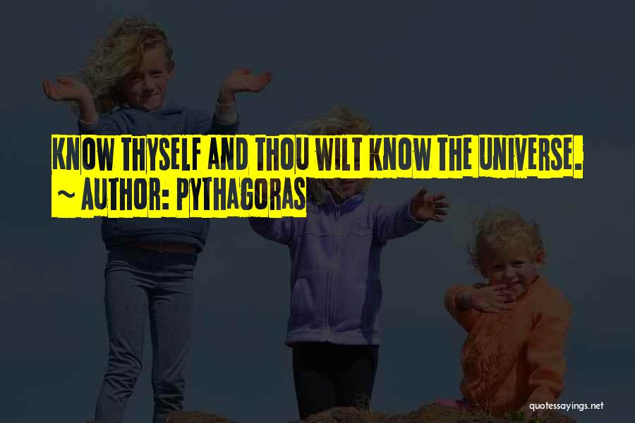 Pythagoras Quotes 517965