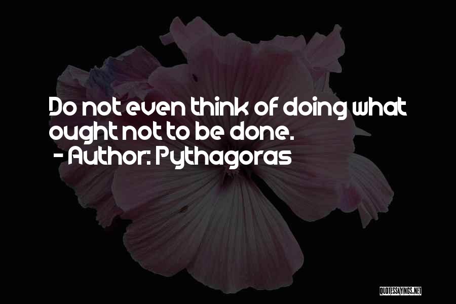 Pythagoras Quotes 592670