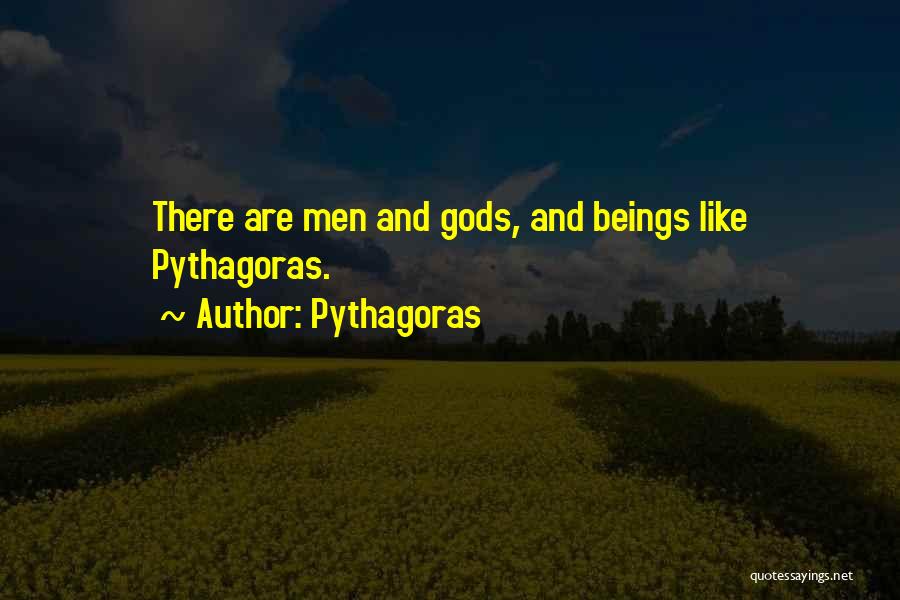 Pythagoras Quotes 647567
