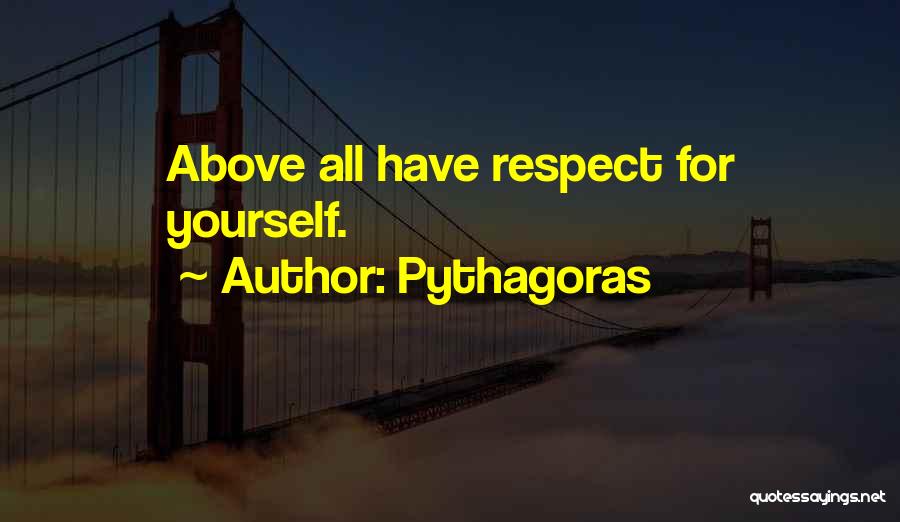 Pythagoras Quotes 816693