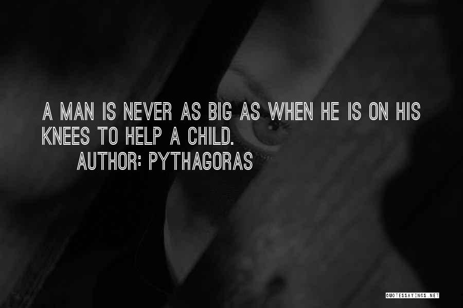 Pythagoras Quotes 88916