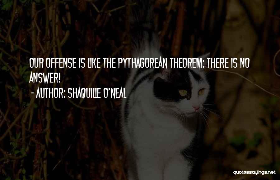 Pythagorean Theorem Quotes By Shaquille O'Neal