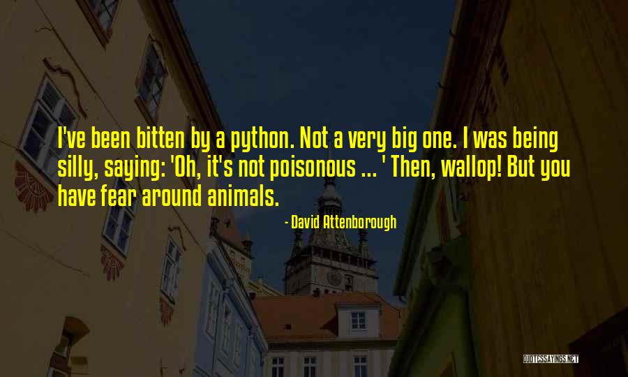 Python 3 Quotes By David Attenborough Python 3 Quotes By David Attenborough