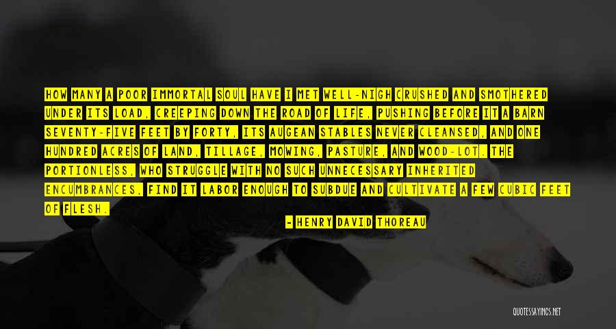 Python String Literals Quotes By Henry David Thoreau Python String Literals Quotes By Henry David Thoreau