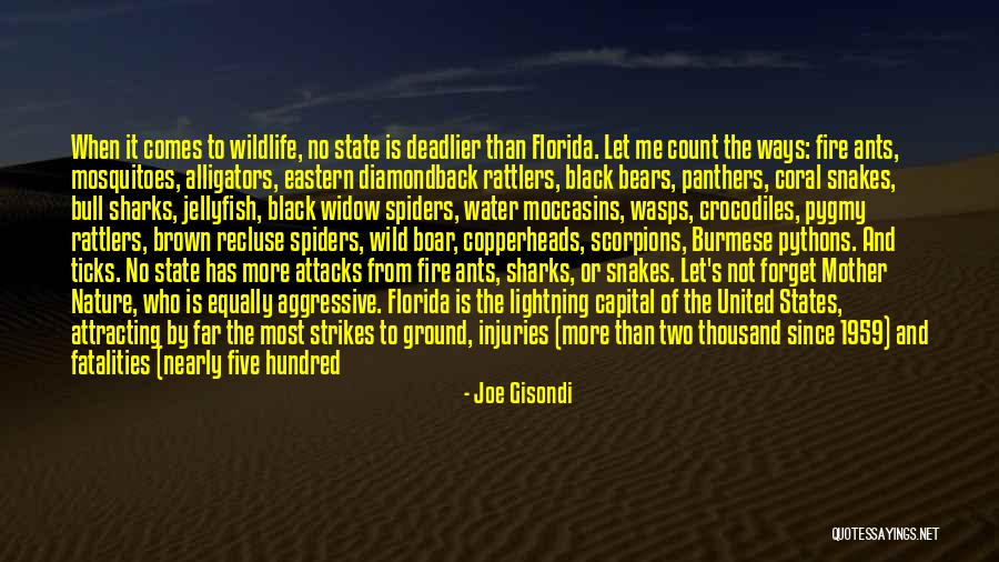 Pythons Snakes Quotes By Joe Gisondi Pythons Snakes Quotes By Joe Gisondi