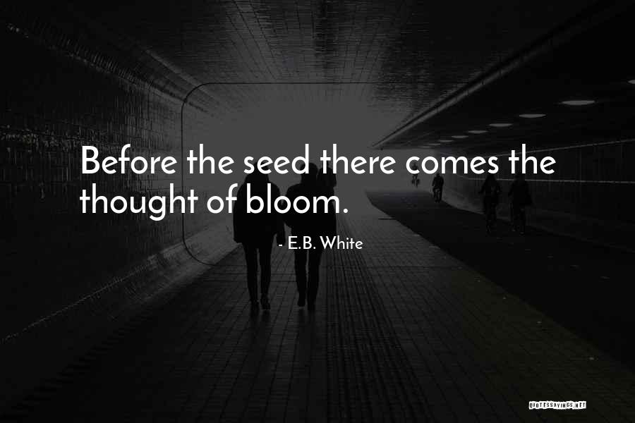 Pzem 031 Quotes By E.B. White