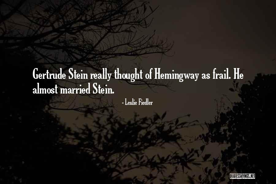 Q3 Audi Quotes By Leslie Fiedler