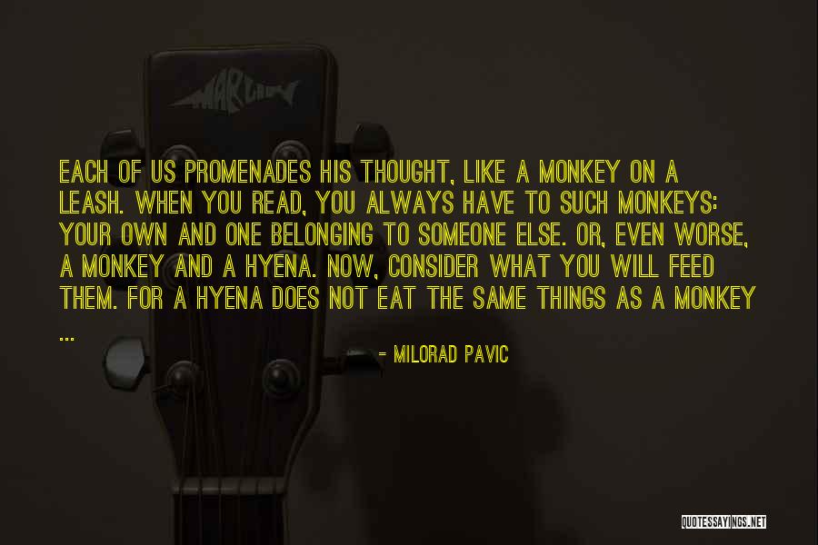 Qader Baig Quotes By Milorad Pavic Qader Baig Quotes By Milorad Pavic
