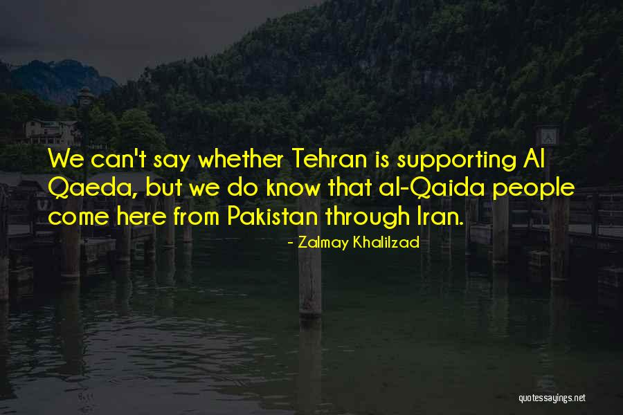 Qaida Quotes By Zalmay Khalilzad