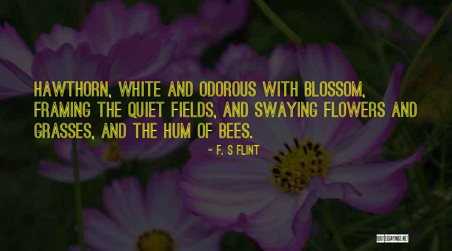 Qaisar Nabi Quotes By F. S Flint Qaisar Nabi Quotes By F. S Flint