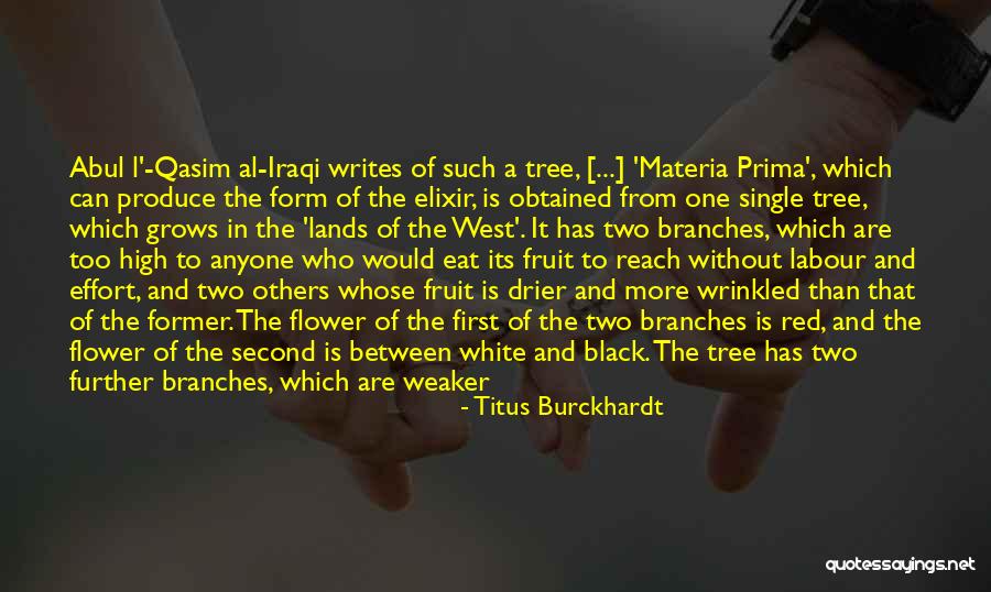 Qasim Quotes By Titus Burckhardt Qasim Quotes By Titus Burckhardt