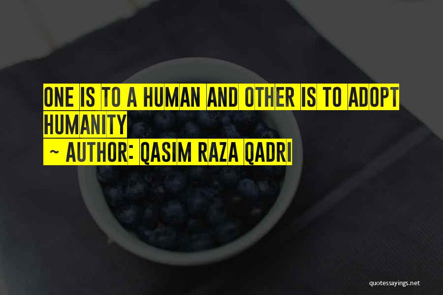 Qasim Raza Qadri Quotes 1590395