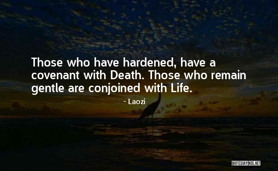 Qassimi Quotes By Laozi Qassimi Quotes By Laozi