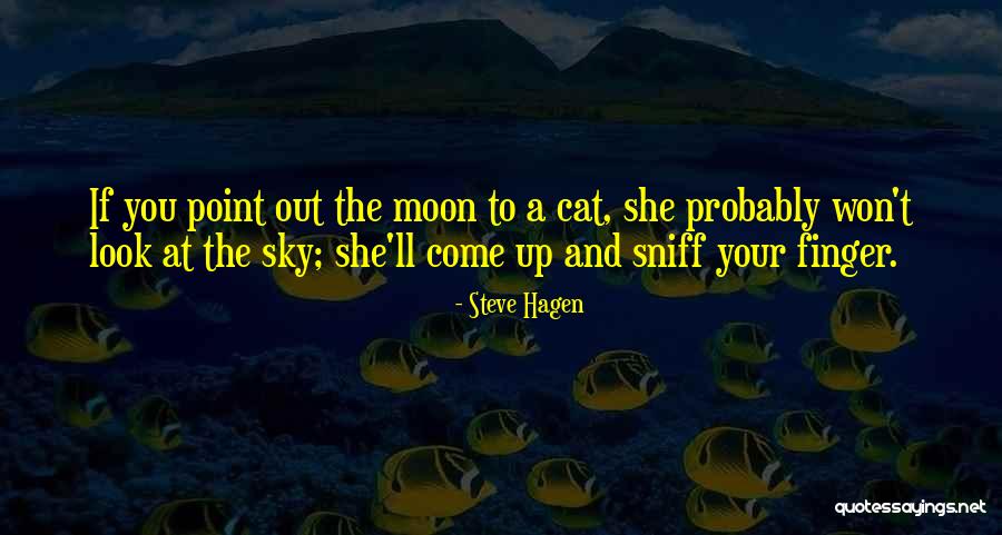 Qatal In Urdu Quotes By Steve Hagen Qatal In Urdu Quotes By Steve Hagen