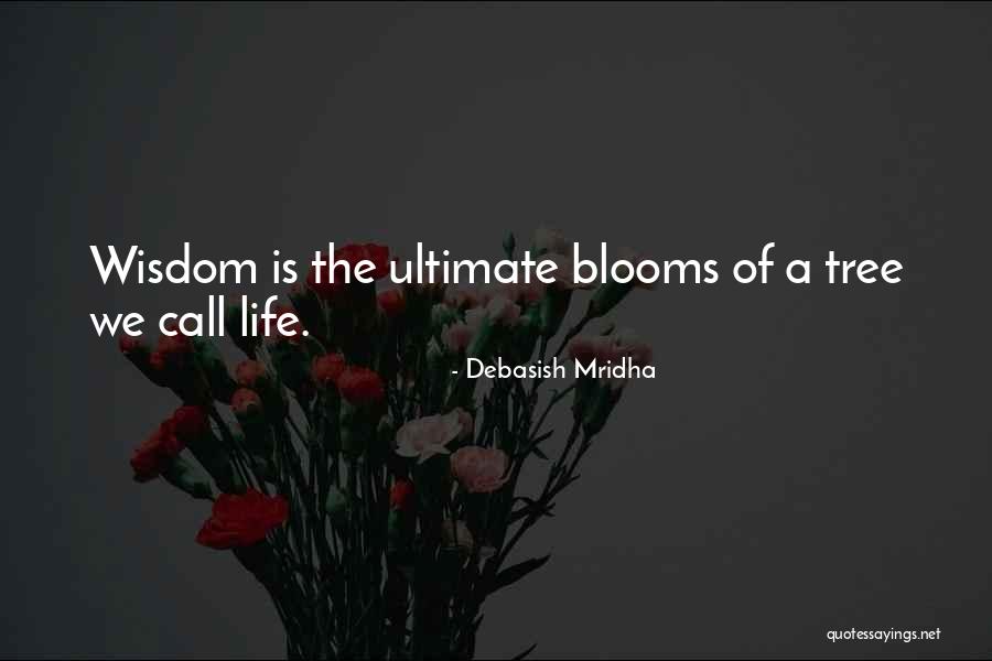 Qazwini San Diego Quotes By Debasish Mridha