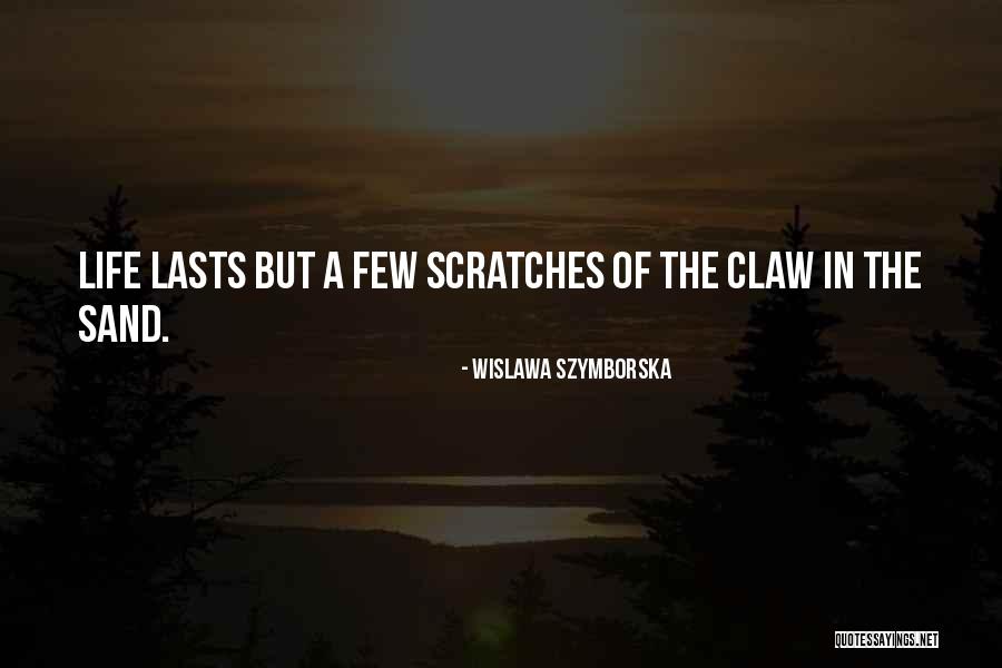 Qiao Zhenyu Quotes By Wislawa Szymborska Qiao Zhenyu Quotes By Wislawa Szymborska