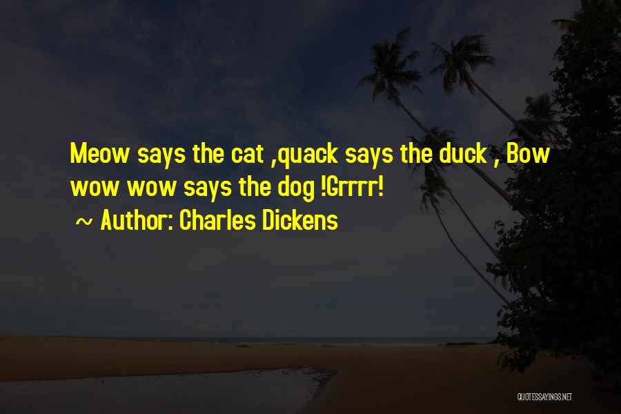 Quack Quotes By Charles Dickens