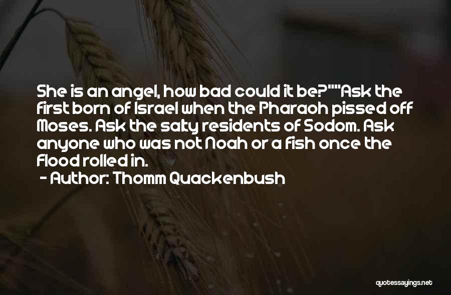 Quackenbush Quotes By Thomm Quackenbush