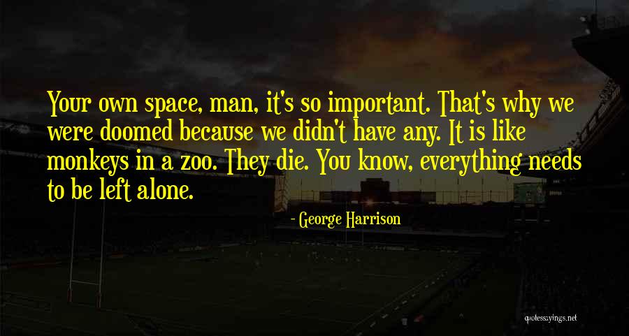 Quadrennial Soccer Quotes By George Harrison Quadrennial Soccer Quotes By George Harrison