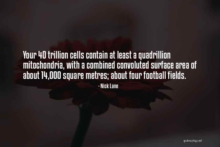 Quadrillion Quotes By Nick Lane Quadrillion Quotes By Nick Lane