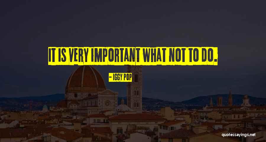 Quadruped Grasp Quotes By Iggy Pop Quadruped Grasp Quotes By Iggy Pop