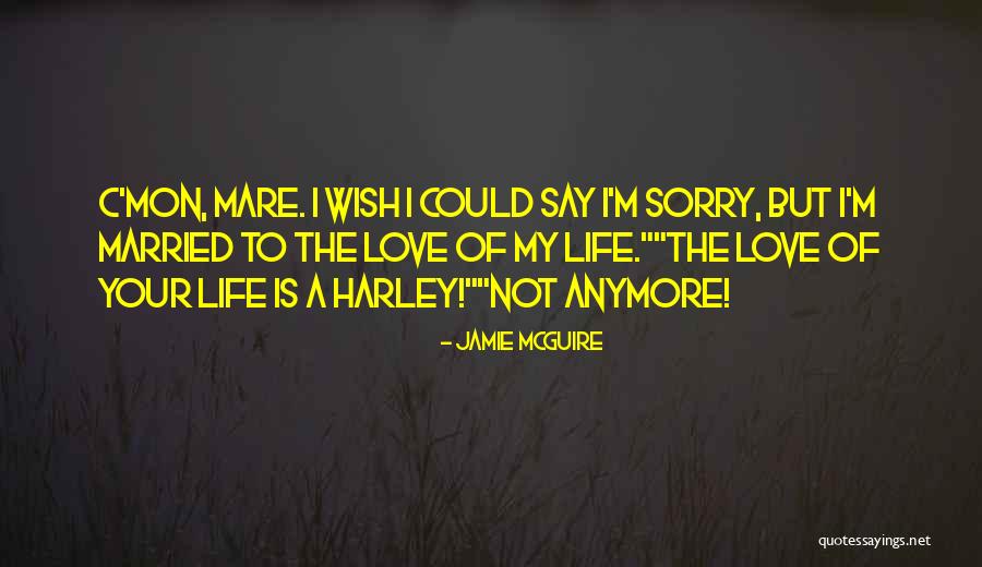 Quaffle Ball Quotes By Jamie McGuire Quaffle Ball Quotes By Jamie McGuire