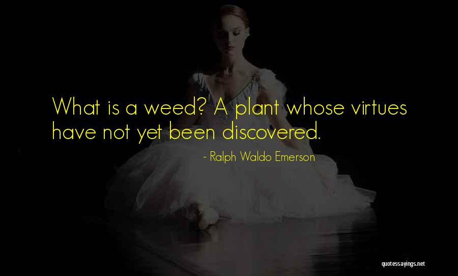 Quagliagliarello Quotes By Ralph Waldo Emerson