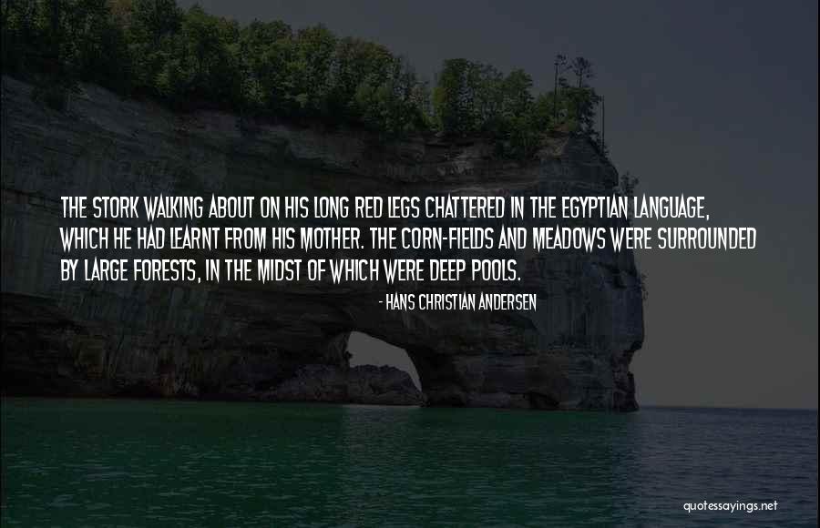 Quaid Azam Birthday Quotes By Hans Christian Andersen Quaid Azam Birthday Quotes By Hans Christian Andersen