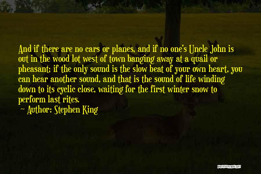 Quail Quotes By Stephen King