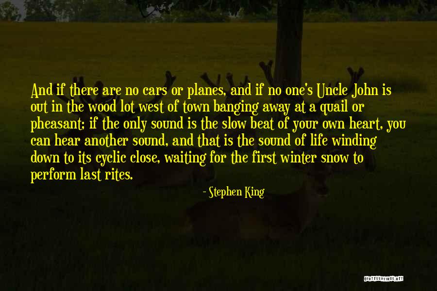 Quail Quotes By Stephen King