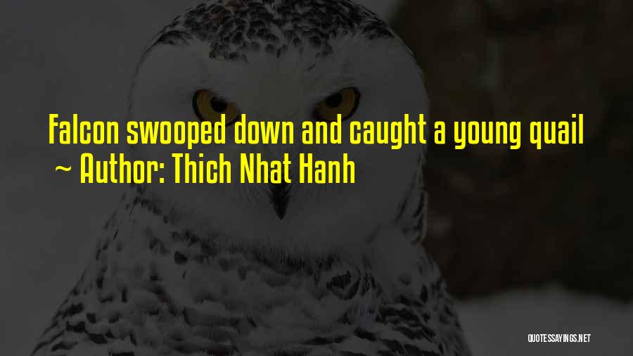 Quail Quotes By Thich Nhat Hanh