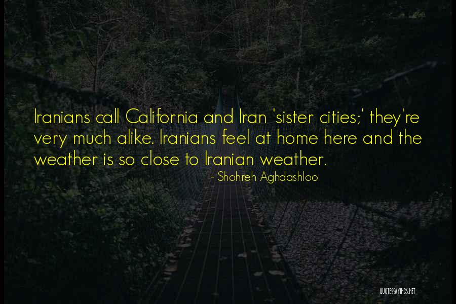 Quaking Bog Quotes By Shohreh Aghdashloo Quaking Bog Quotes By Shohreh Aghdashloo