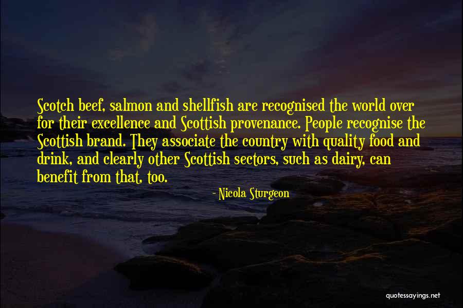 Quality And Excellence Quotes By Nicola Sturgeon Quality And Excellence Quotes By Nicola Sturgeon