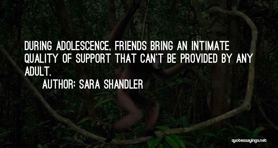 Quality Of Friendship Quotes By Sara Shandler