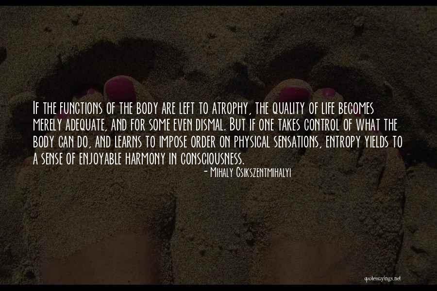 Quality Of Life Quotes By Mihaly Csikszentmihalyi Quality Of Life Quotes By Mihaly Csikszentmihalyi